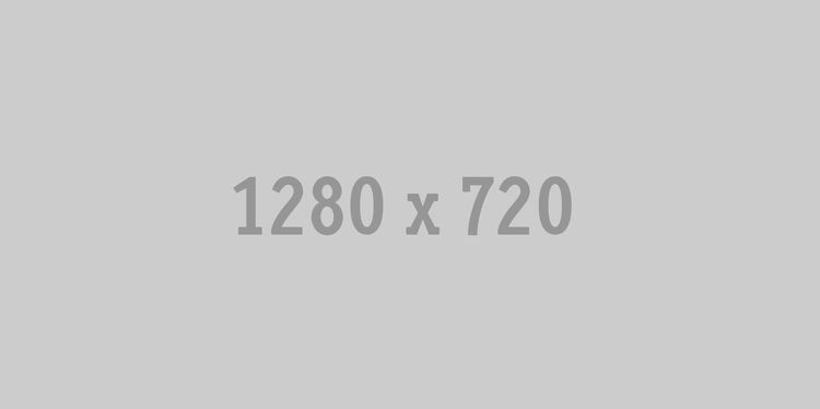 ALT-Text des Bildes 6