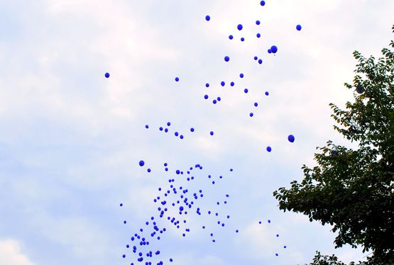 Ein Volumen von rund 400 000 Luftballons voll CO2 wurde bei der Aktion „Aufs Rad und los! – STADTRADELN im Heidekreis“ vermieden. Symbolisch ließen Koordinatorinnen und Preisträger/innen 200 Ballons steigen – jeder davon stand für 2000 Luftballons mit vermiedenem CO2.