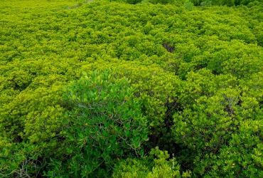 12.11.2025 / 19.00 Uhr