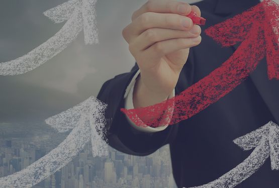 Bildbeschreibung & © einfügen